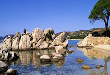 马内突破进球数，成为本赛季最佳射手